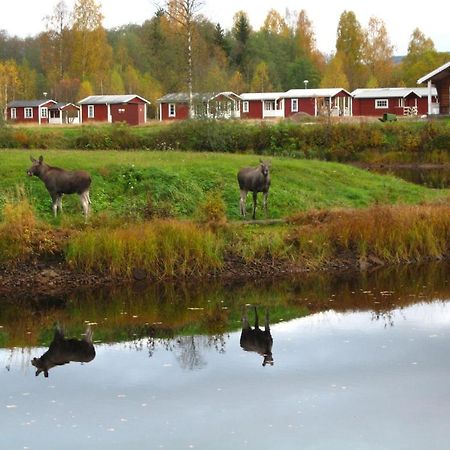 Hotel Klaralvens Camping Stöllet Camera foto