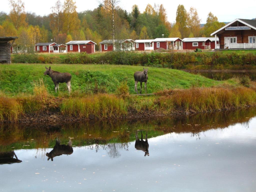 Hotel Klaralvens Camping Stöllet Camera foto